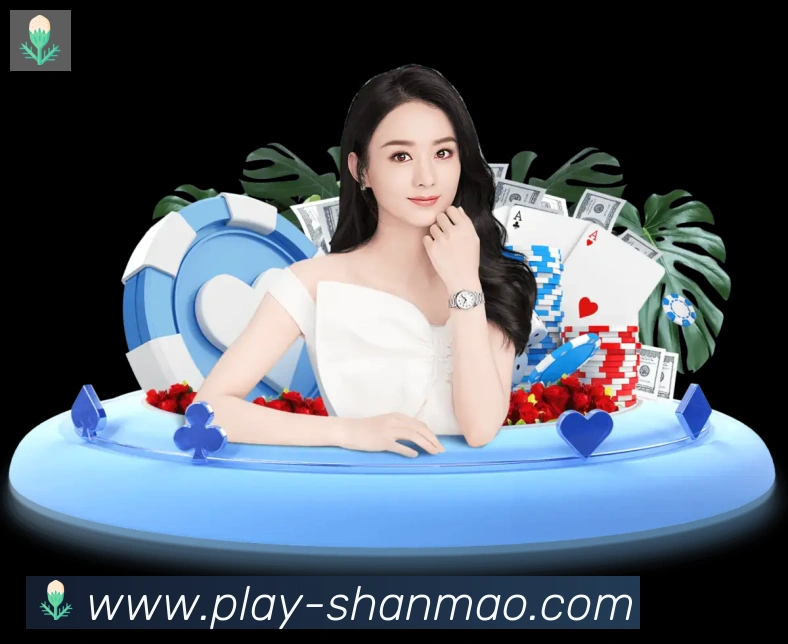 奖项证书